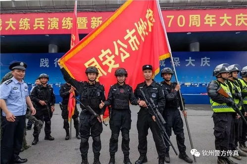 钦州保安主题宣传日活动暨保安行业服务70周年大庆安保工作誓师大会启动仪式在钦州湾广场举行
